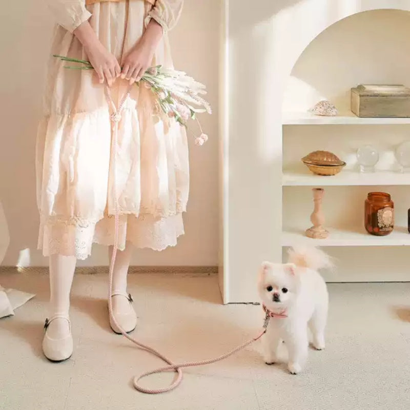 Discover the Perfect Leather Handheld Pet Collar Leash for Your Furry Friend
